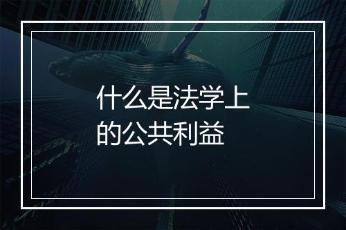 什么是法学上的公共利益