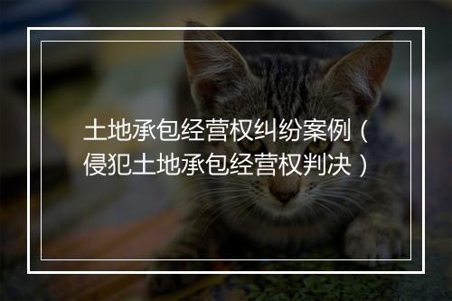 土地承包经营权纠纷案例（侵犯土地承包经营权判决）