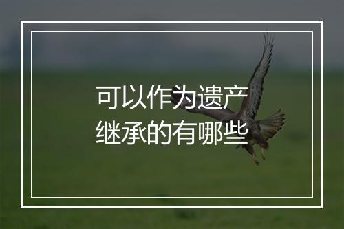 可以作为遗产继承的有哪些