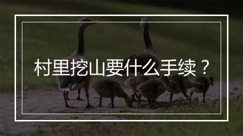 村里挖山要什么手续？
