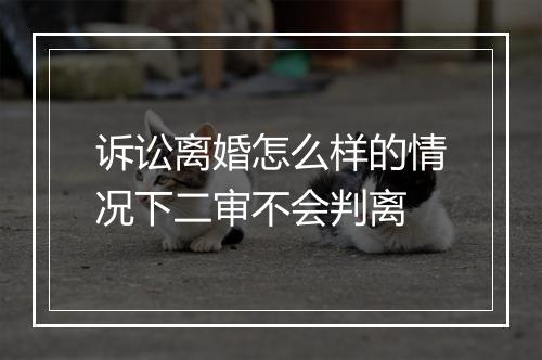 诉讼离婚怎么样的情况下二审不会判离