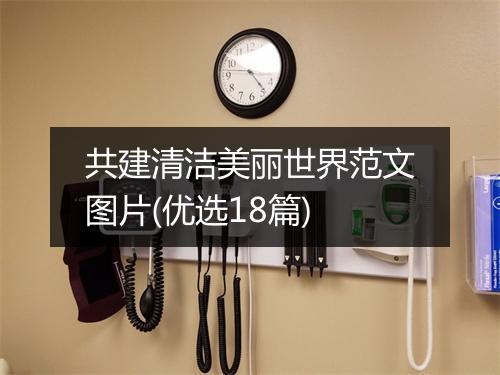 共建清洁美丽世界范文图片(优选18篇)
