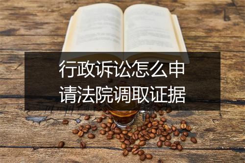 行政诉讼怎么申请法院调取证据