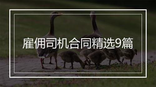 雇佣司机合同精选9篇