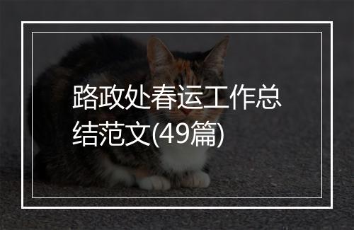 路政处春运工作总结范文(49篇)