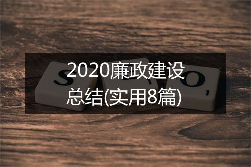 2020廉政建设总结(实用8篇)