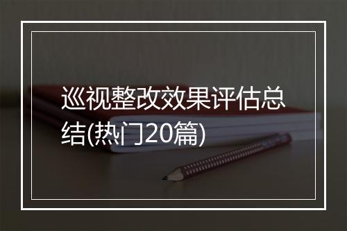 巡视整改效果评估总结(热门20篇)