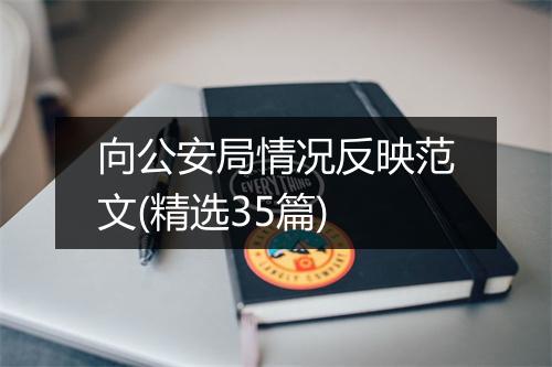 向公安局情况反映范文(精选35篇)