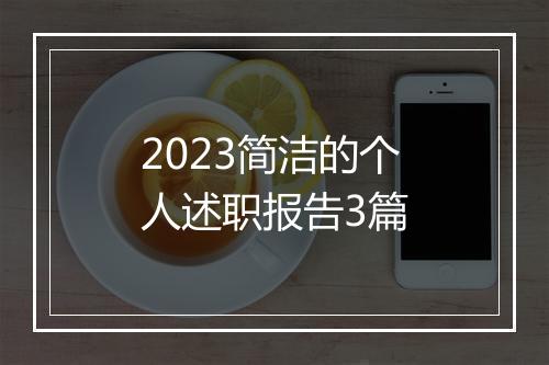 2023简洁的个人述职报告3篇