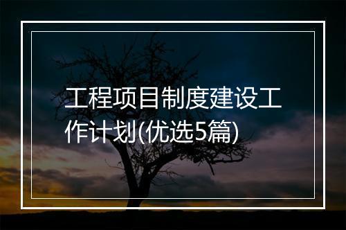 工程项目制度建设工作计划(优选5篇)