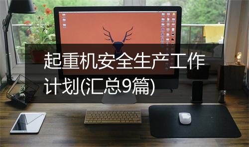 起重机安全生产工作计划(汇总9篇)
