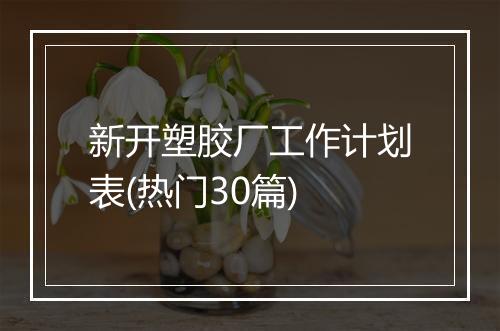 新开塑胶厂工作计划表(热门30篇)