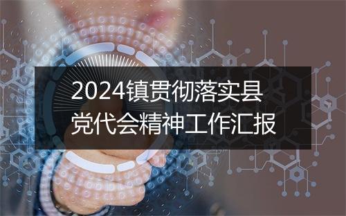 2024镇贯彻落实县党代会精神工作汇报