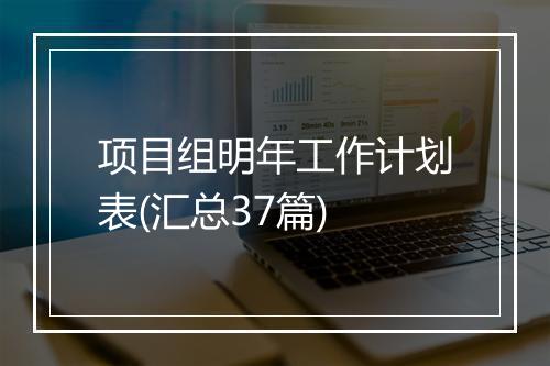 项目组明年工作计划表(汇总37篇)