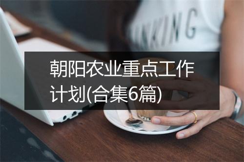 朝阳农业重点工作计划(合集6篇)