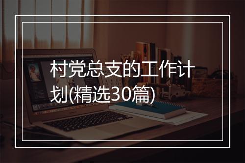 村党总支的工作计划(精选30篇)