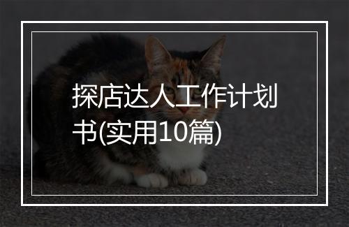 探店达人工作计划书(实用10篇)