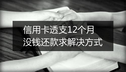 信用卡透支12个月没钱还款求解决方式