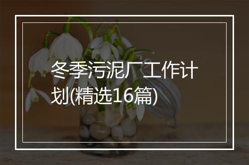 冬季污泥厂工作计划(精选16篇)