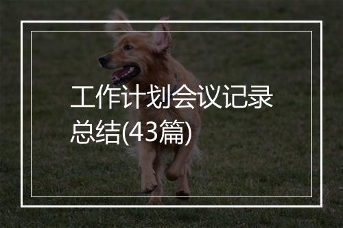 工作计划会议记录总结(43篇)