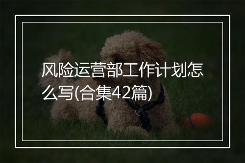 风险运营部工作计划怎么写(合集42篇)