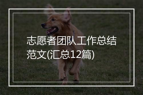 志愿者团队工作总结范文(汇总12篇)