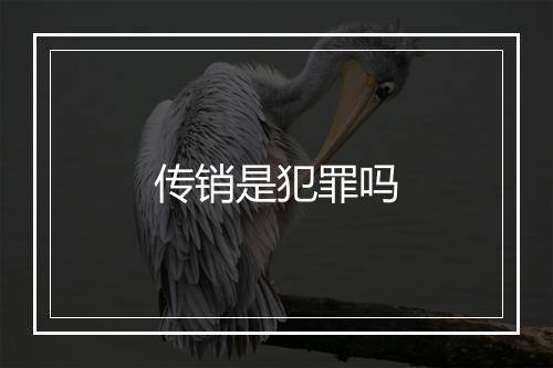 传销是犯罪吗