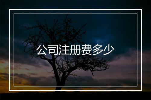 公司注册费多少