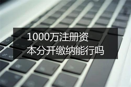 1000万注册资本分开缴纳能行吗