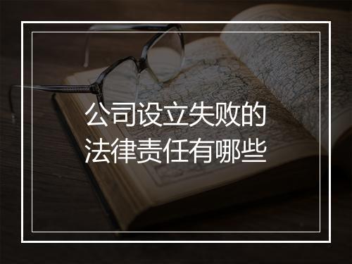 公司设立失败的法律责任有哪些