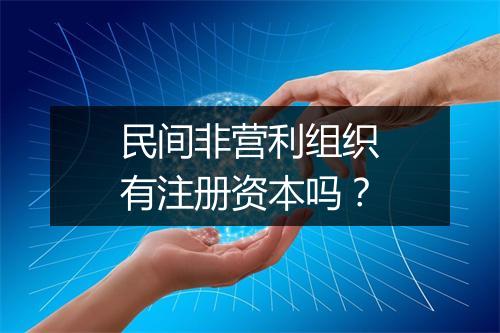 民间非营利组织有注册资本吗？