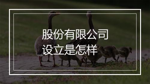 股份有限公司设立是怎样