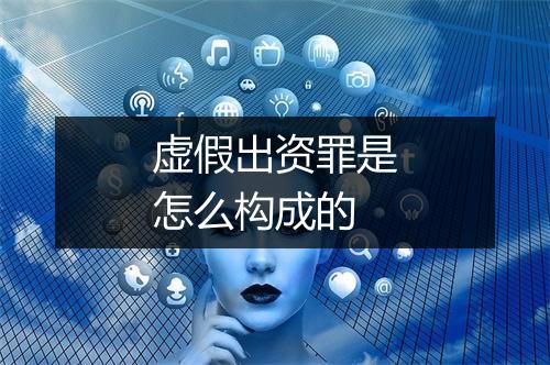 虚假出资罪是怎么构成的