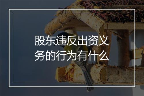 股东违反出资义务的行为有什么