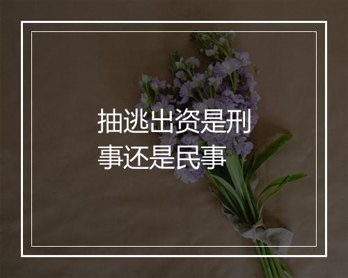 抽逃出资是刑事还是民事