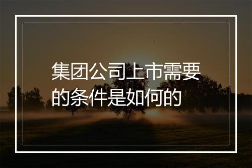 集团公司上市需要的条件是如何的