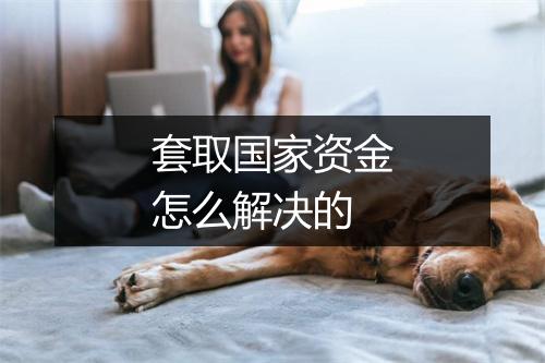 套取国家资金怎么解决的