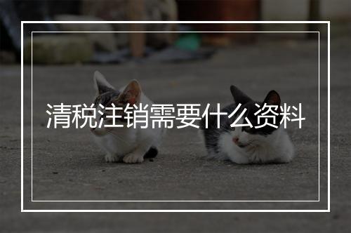 清税注销需要什么资料