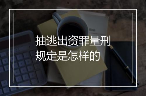 抽逃出资罪量刑规定是怎样的
