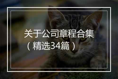 关于公司章程合集（精选34篇）
