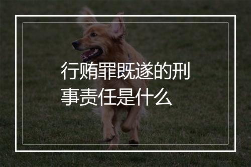 行贿罪既遂的刑事责任是什么