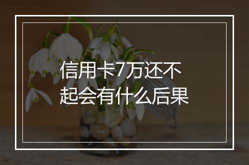 信用卡7万还不起会有什么后果