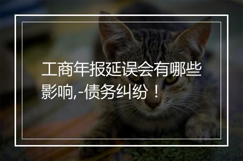 工商年报延误会有哪些影响,-债务纠纷！