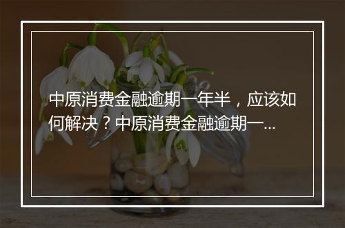 中原消费金融逾期一年半，应该如何解决？中原消费金融逾期一年半后果严重吗？