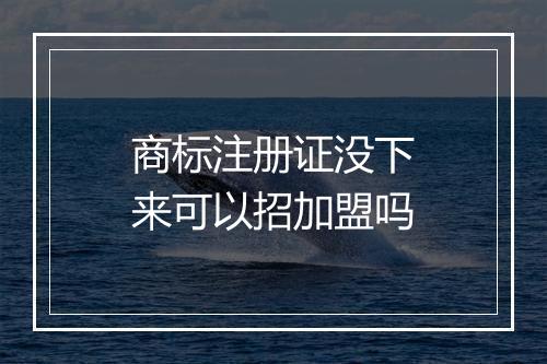 商标注册证没下来可以招加盟吗