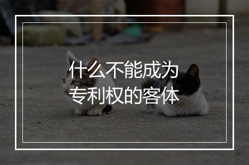 什么不能成为专利权的客体
