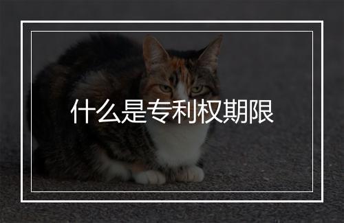 什么是专利权期限