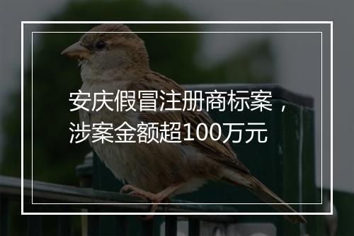 安庆假冒注册商标案，涉案金额超100万元