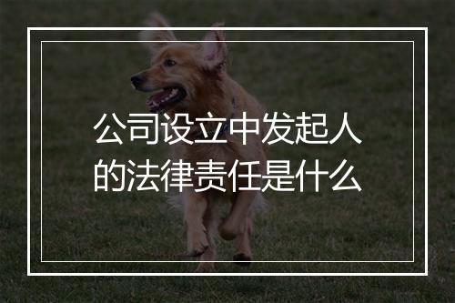 公司设立中发起人的法律责任是什么