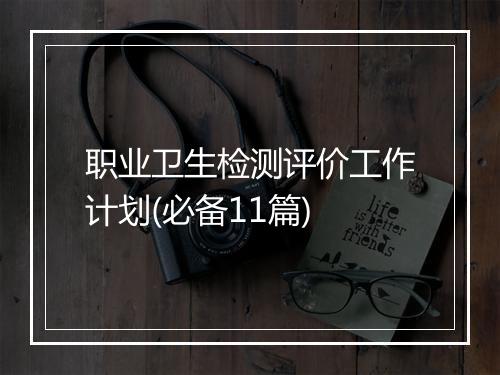 职业卫生检测评价工作计划(必备11篇)